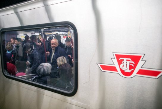 Dog rescued from TTC subway tunnel dies