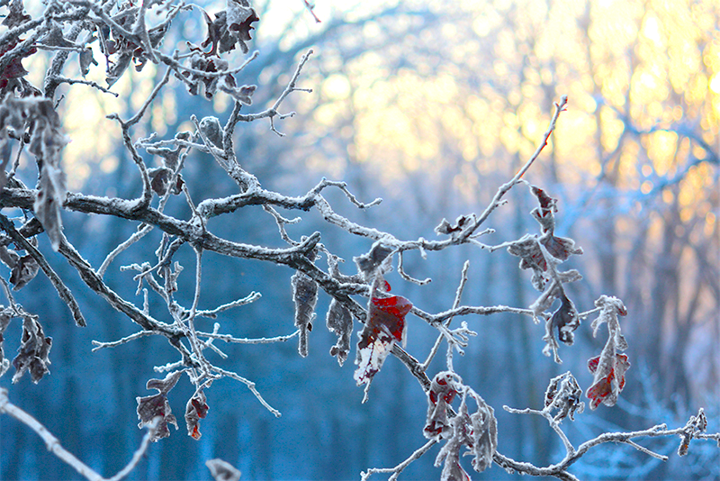 Winter storm warning for much of Montana