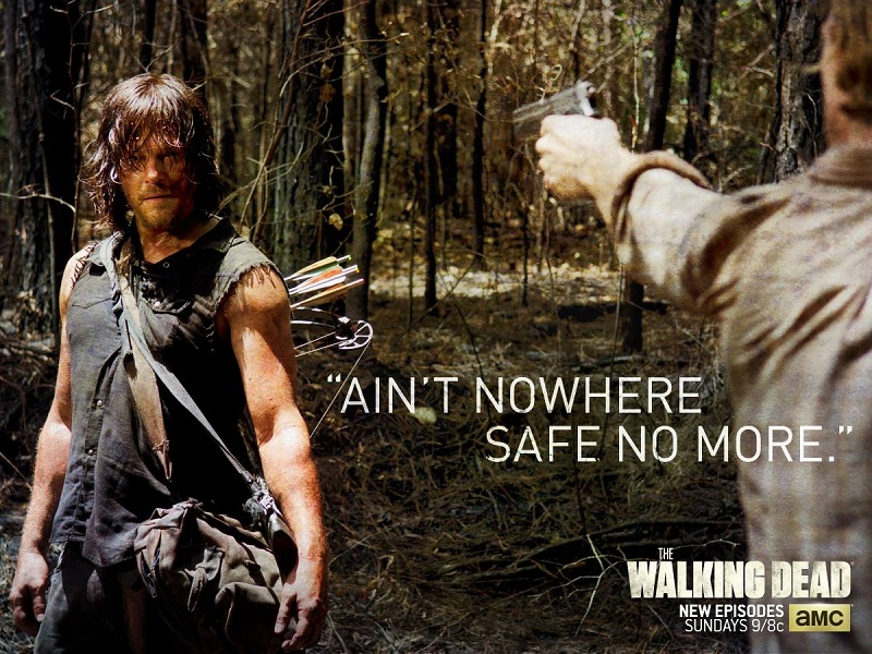 Norman Reedus as Daryl Dixon