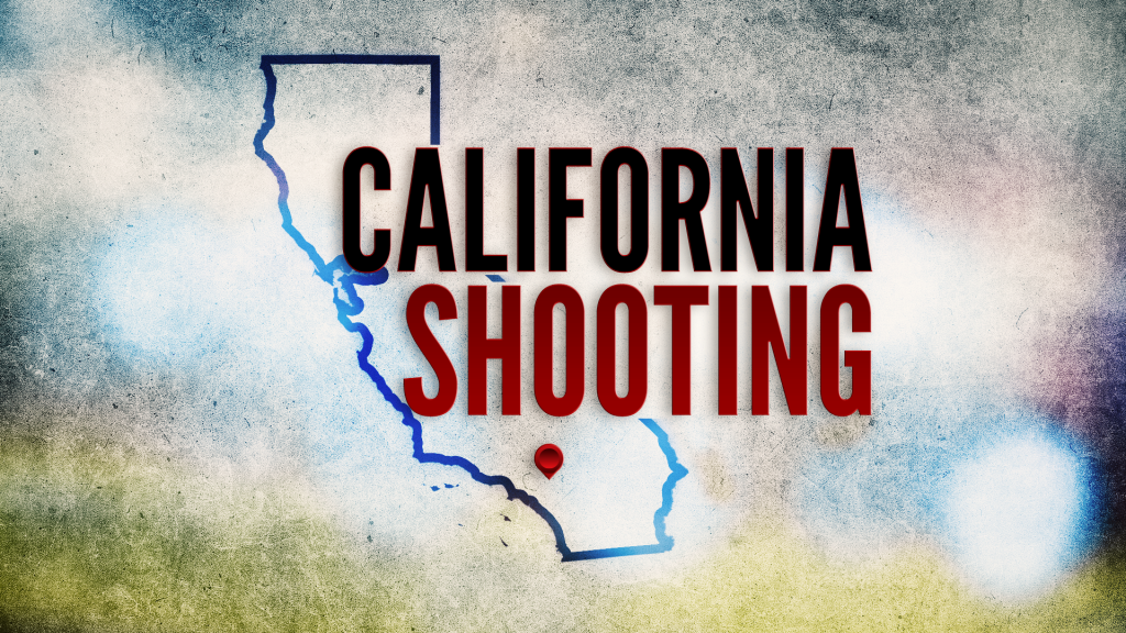 California Shooting 120215