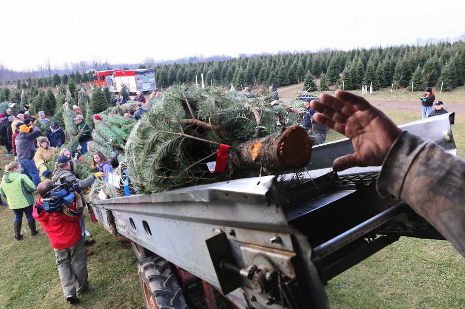 More than 60 volunteers gathered at the Wahmhoff Farms Nursery in Gobles Monday Nov. 30 2015 to load donated trees onto Fed Ex trucks for the 2015 Christmas seasons