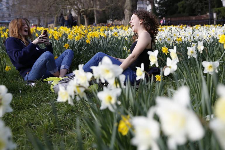 Women laugh amid the daffodils in Green Park in central Lond