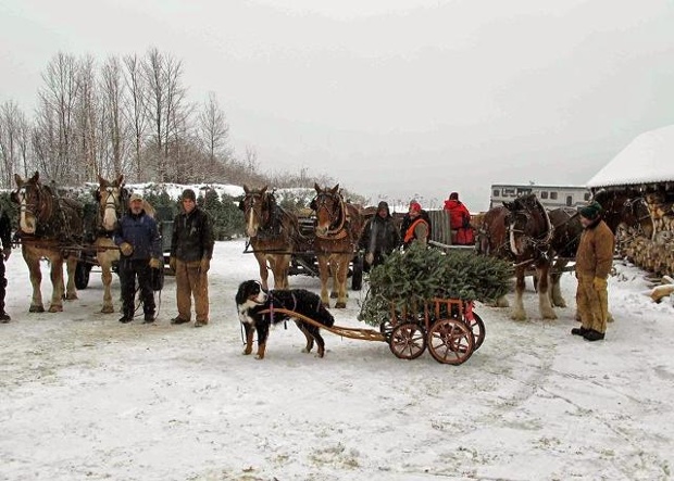 Christmas “Trees For Troops”