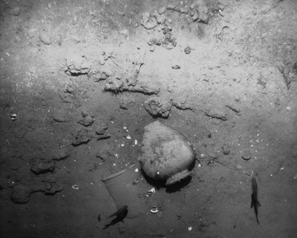 San Jose galleon shipwreck with £1 billion treasure found off Colombia, says