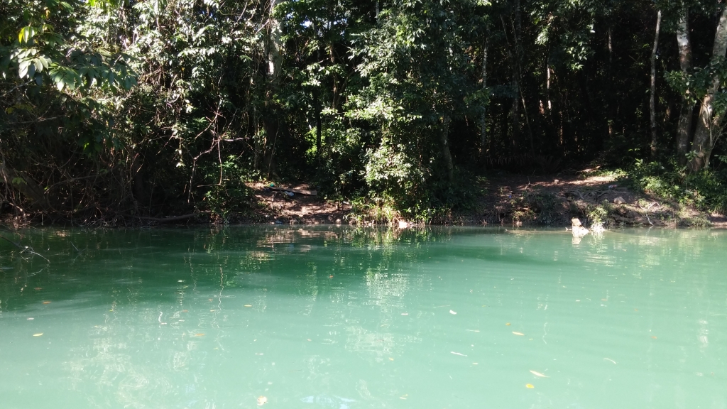 River where Anne Swaney's body was found