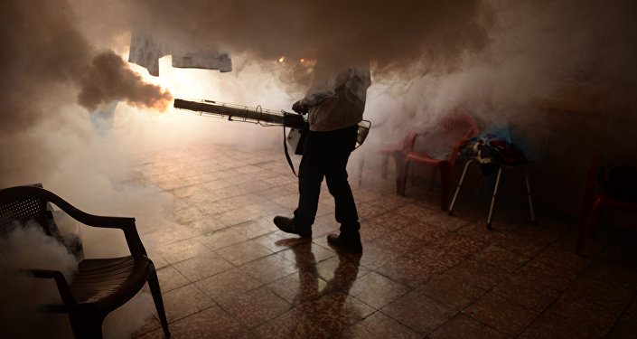 Health Ministry employee fumigates a home against the Aedes aegypti mosquito to prevent the spread of the Zika virus in Soyapango six km east of San Salvador