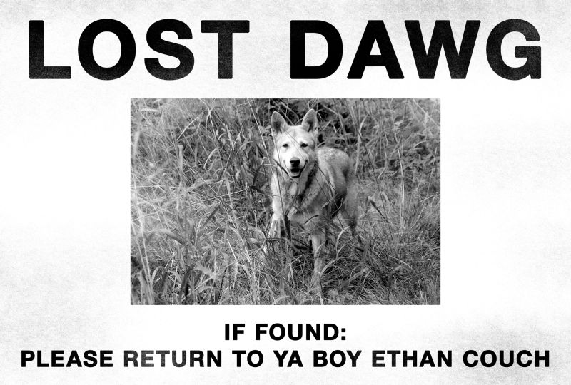 1,000 Reward Offered After Affluenza Teen's Dog Goes Missing in Mexico