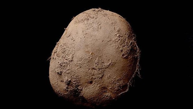 Spud they like! Photographer to the stars who has snapped Johnny Depp, Yoko Ono and Bob Geldof sells picture of a POTATO for £750,000