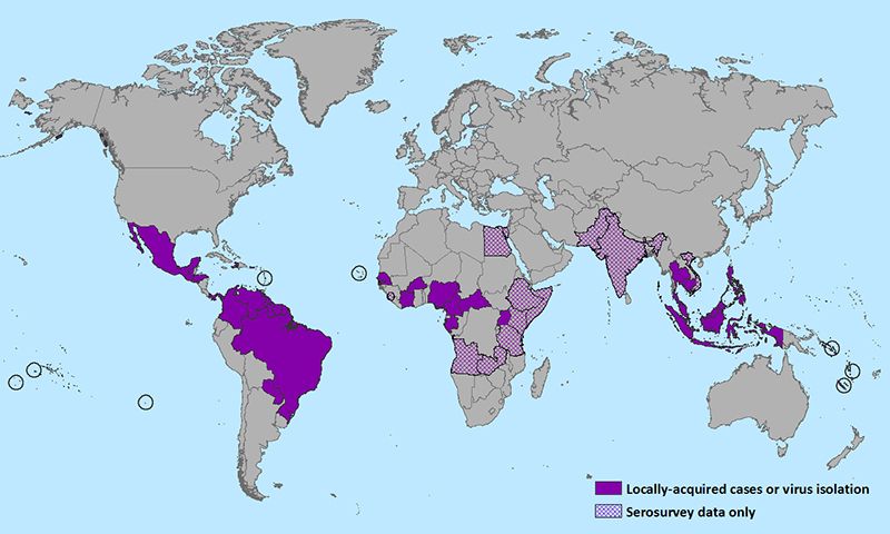 CDC  Countries that have past or current evidence of Zika virus transmission according to the CDC