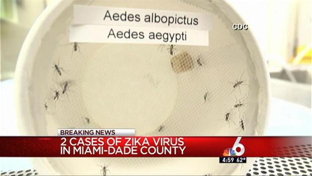 2 Cases of Zika Virus Confirmed in Miami-Dade