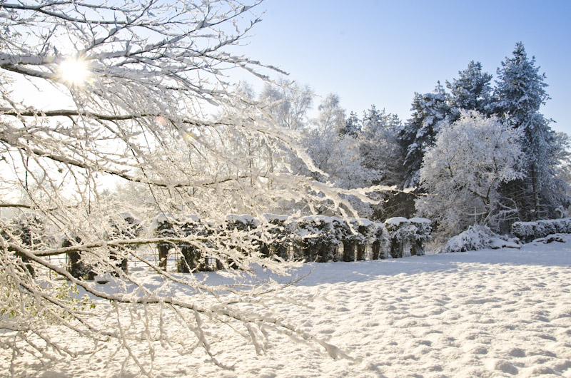 Norfolk-snow-Januray-2013-1