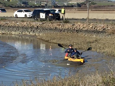 Courtesy Marine Mammal Center