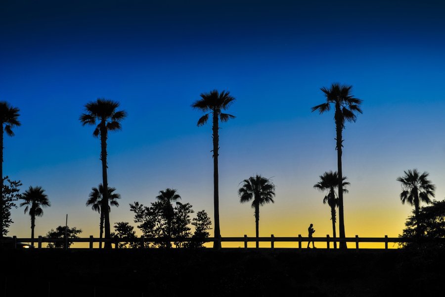 Credit Joseph A. Garcia           JOSEPH A. GARCIA  THE STAR Cool weather and a decorative scene of palm trees provide a calm July evening at sunset in Oxnard