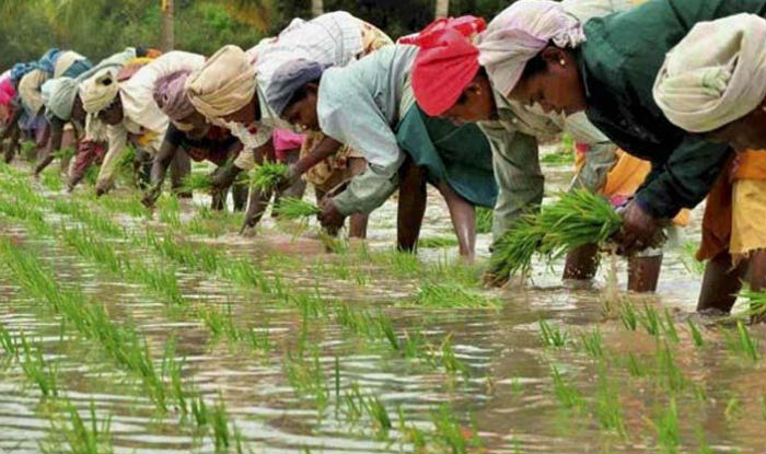 Cabinet approves new crop insurance scheme