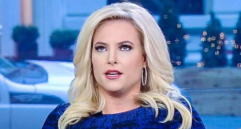 Fox News host Meghan Mc Cain