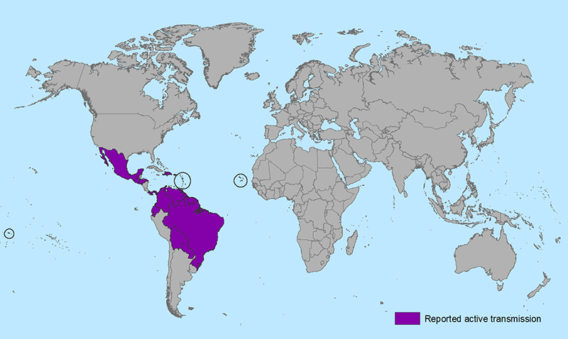 Current as of Jan. 26 this CDC map shows where active outbreaks of Zika are occurring