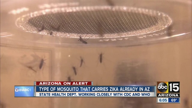 Dozens of cases have been confirmed in 11 states already.                      KNXV