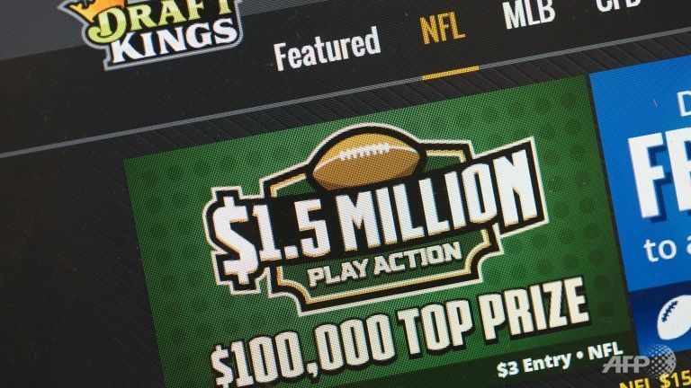 DraftKings and FanDuel the largest of the popular daily fantasy sports websites say the contests they offer are not gambling