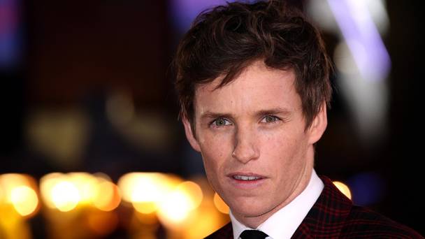 Eddie Redmayne has been nominated for a best actor Oscar for The Danish Girl