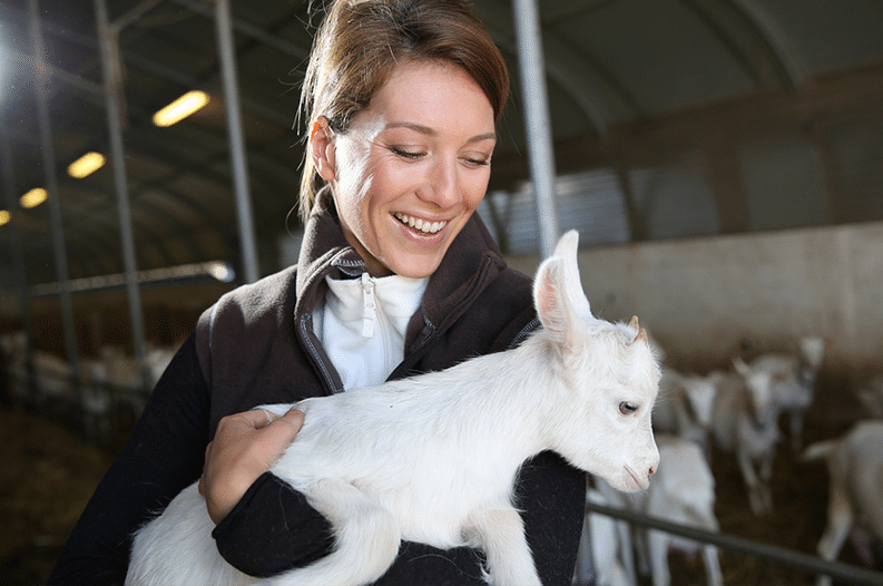 This Farm Wants You to Cuddle Their Baby Goats