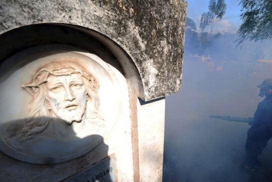 Health ministry employees spray to eliminate breeding sites of the Aedes Aegypti mosquito which transmits diseases such as the dengue chicunguna and Zica viruses in a Tegucigalpa cemetery