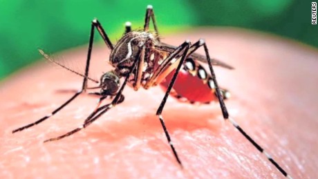 Two People Test Positive For Zika Virus In NYC