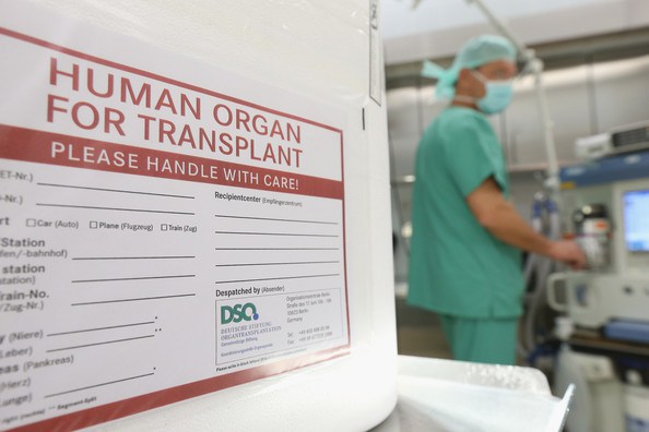 Human+Organ+for+Transplant+2_C.F