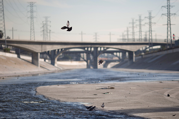 Los Angeles Approves New Campaign To Aid In City's Homeless Crisis