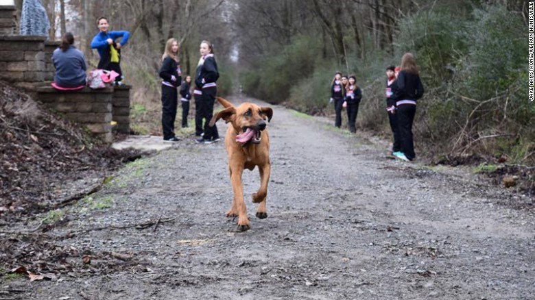 Ludivine ran the entire 13.1 miles without a leash or human companion