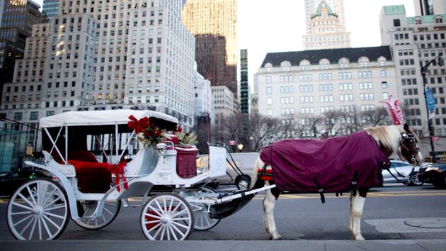 Horse carriage industry, Mayor de Blasio strike deal to keep carriage rides in NYC