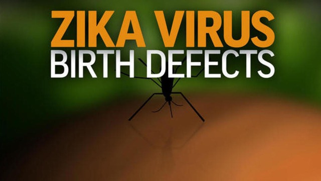 JetBlue joins list of airlines refunding travel to Zika-hit areas