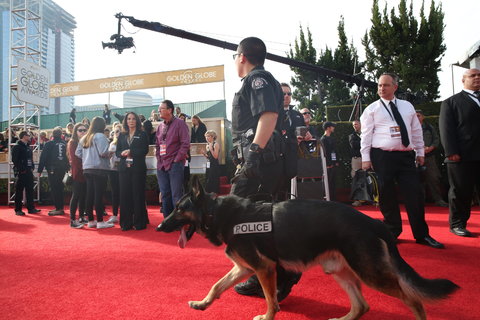 Security was visible on the red carpet as well