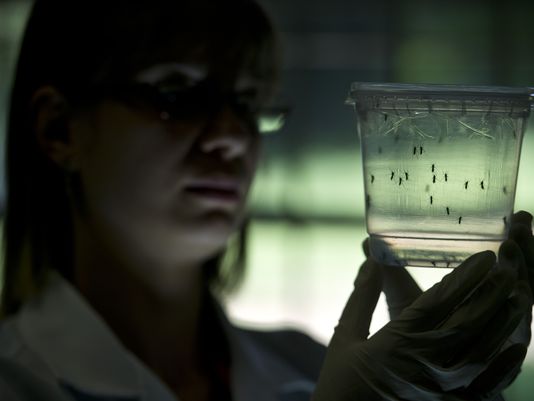 DPH asks providers to report suspected Zika virus cases