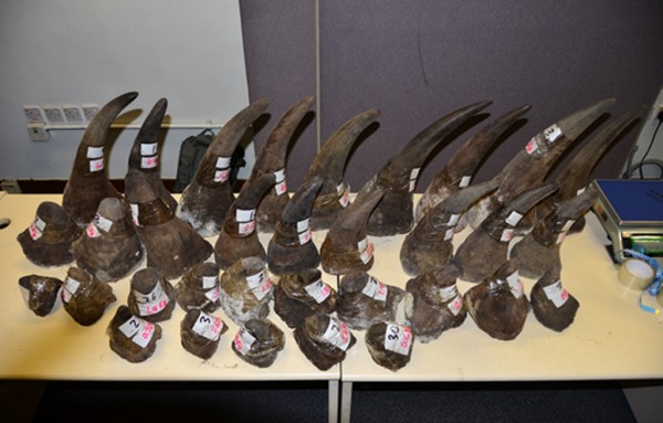 Court dismisses application to appeal lifting ban on rhino horn trade