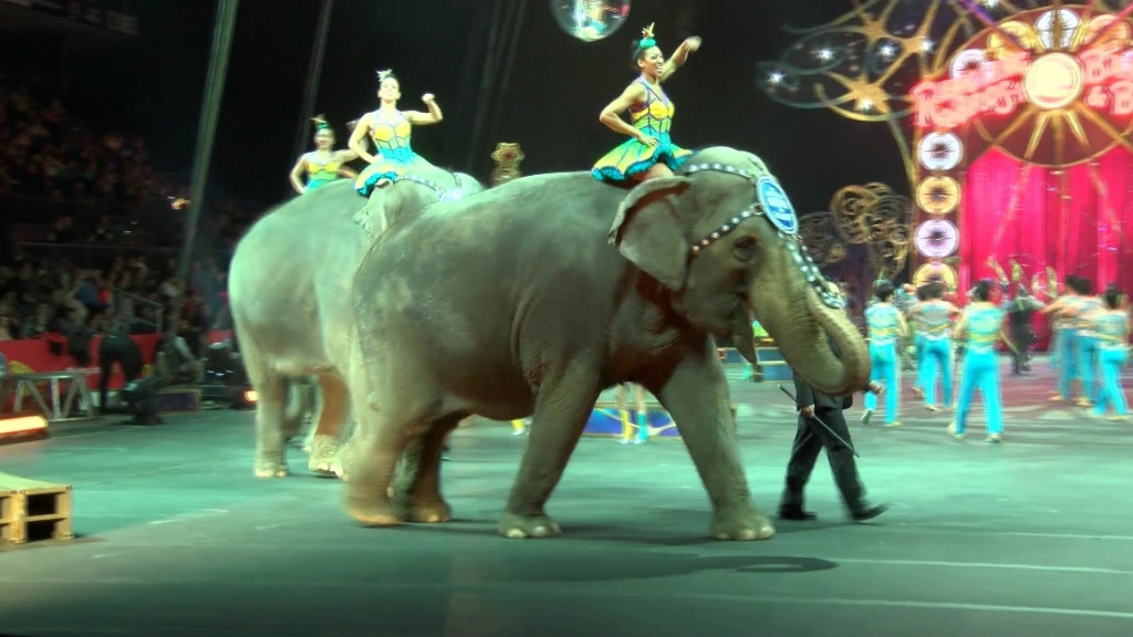 Ringling Bros. circus is phasing out its elephants a year and a half ahead of schedule