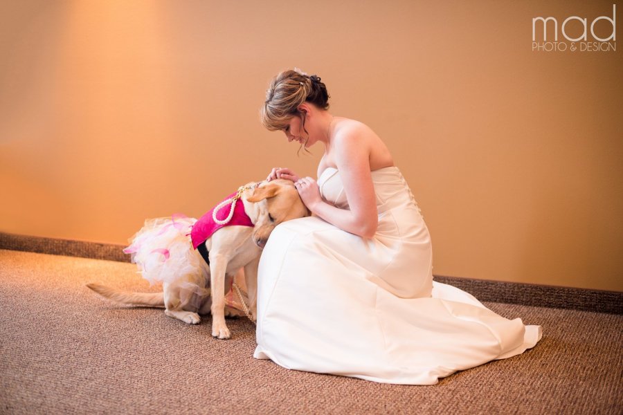 VIRAL PHOTO - Service Dog Tending to Bride