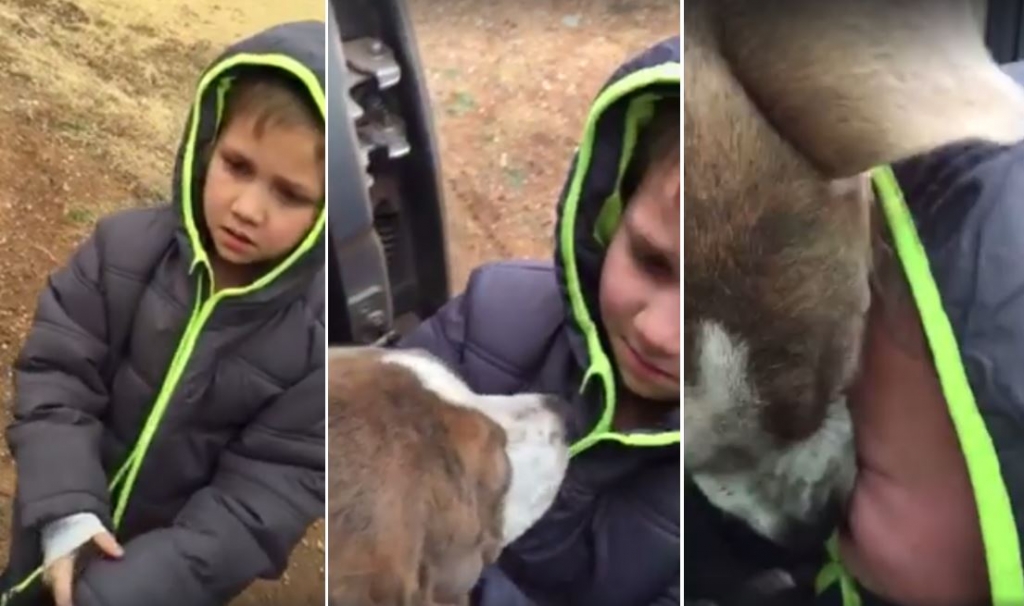 Watch this emotional reunion between a boy and his puppy and try not to weep