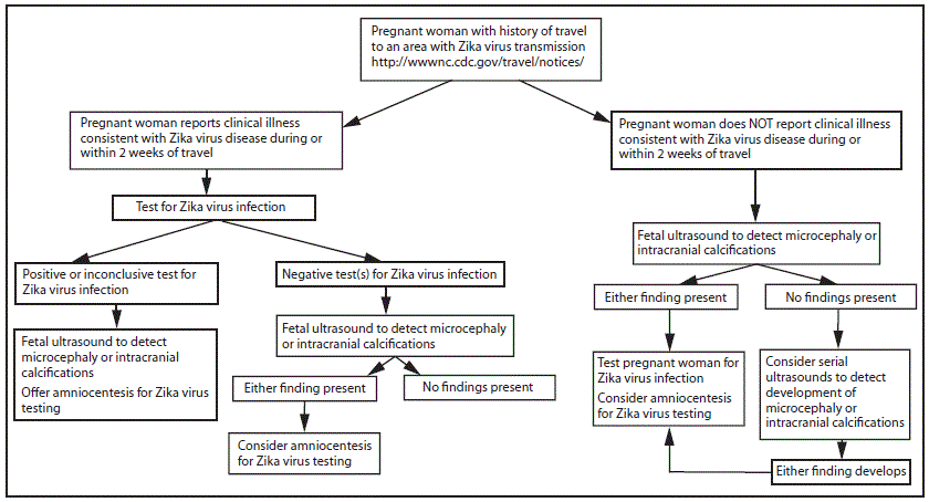 The CDC’s advice for doctors dealing with pregnant women who may be infected with Zika