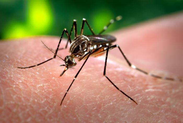 Illinois and Florida report new travel-related Zika cases