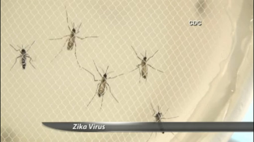 You may not have heard much about the Zika virus but