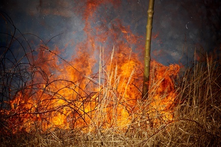 Drakesbrook wiped out by bushfire