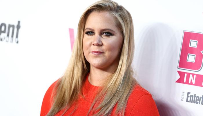 Who Is Amy Schumer's Boyfriend Ben Hanisch?