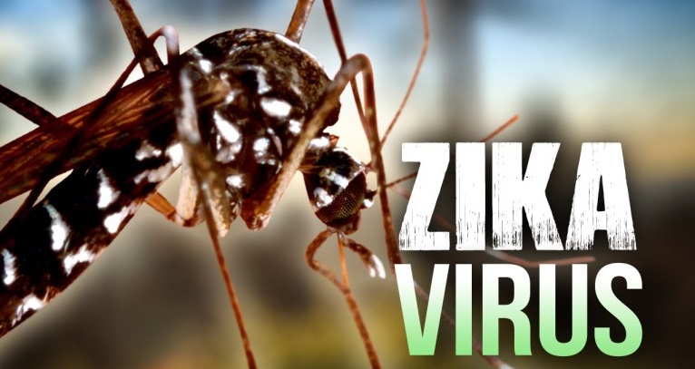 Zika Virus