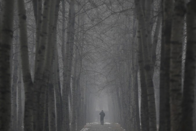 A man wearing a mask walks under the trees during severe pollution