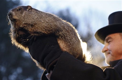 3 Times Groundhog Day Went Terribly Wrong