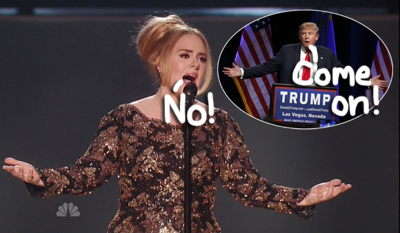 Adele bans Donald Trump from using her music in his Presidential campaign