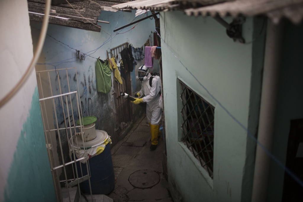 Brazil's Rousseff calls for war on Zika-carrying mosquito