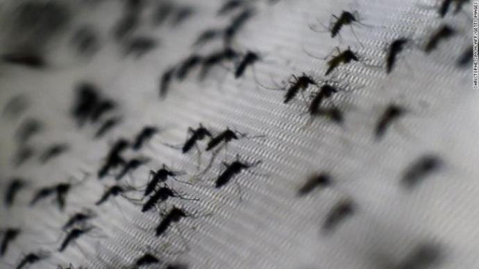 CDC ships Zika test for pregnant women; Puerto Rico at risk