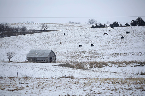 The First Battleground For The 2016 Presidential Nomination