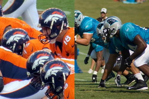 Broncos. Credit Craig Hawkins. Panthers. Credit kevin813 via Flickr